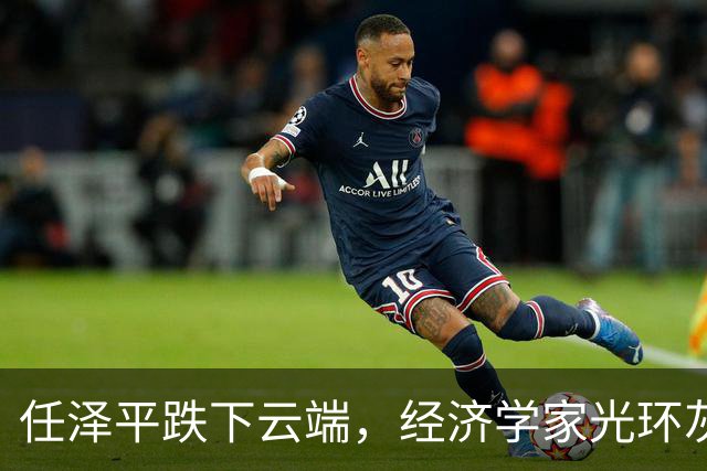任泽平跌下云端，经济学家光环灰飞烟灭！